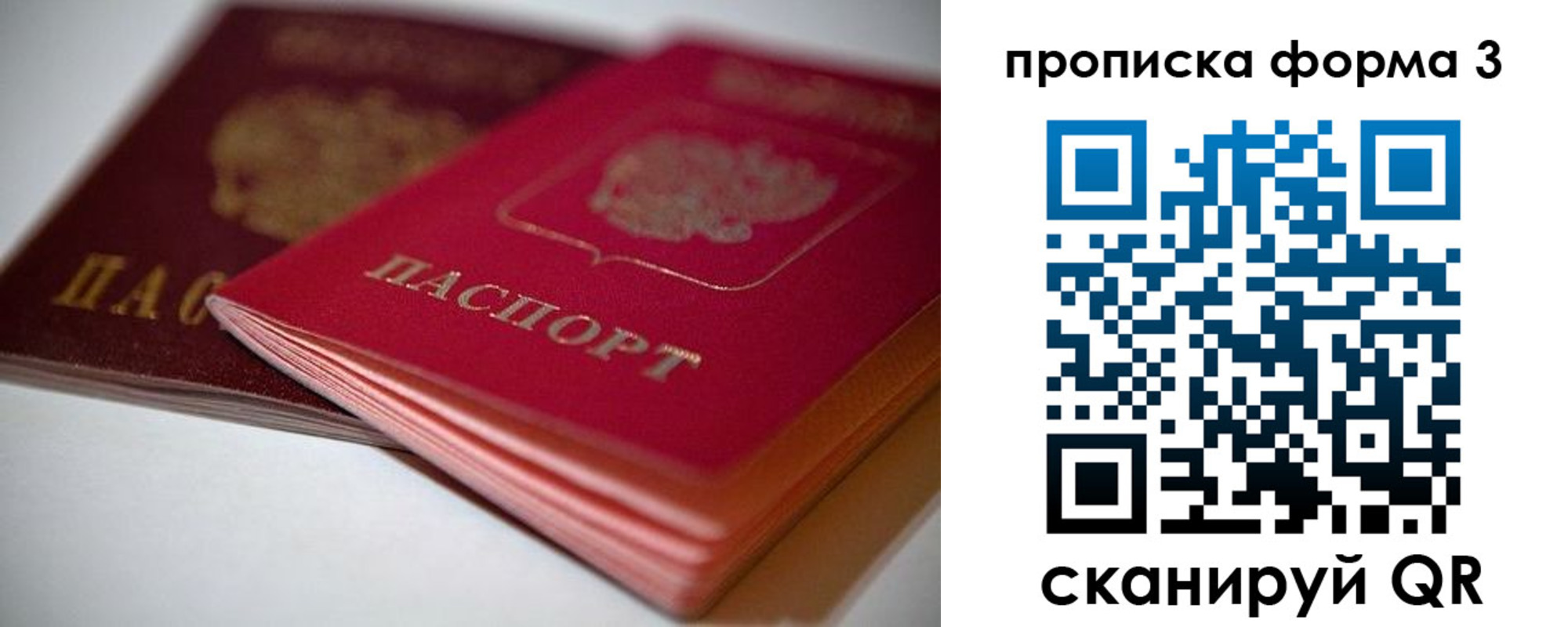 временная регистрация надежно в Светлогорске